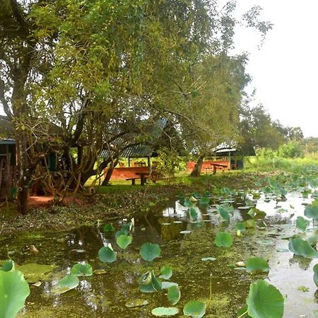 Meegahapokuna Resort Anuradhapura Bagian luar foto
