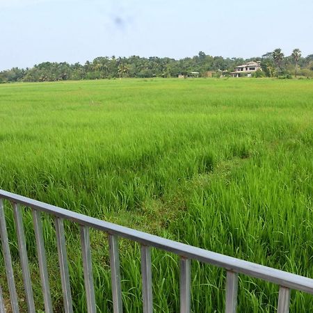Meegahapokuna Resort Anuradhapura Bagian luar foto