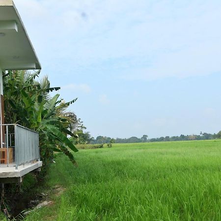 Meegahapokuna Resort Anuradhapura Bagian luar foto