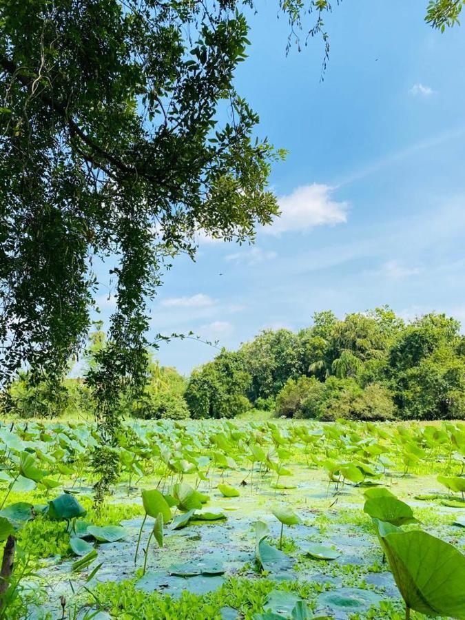 Meegahapokuna Resort Anuradhapura Bagian luar foto