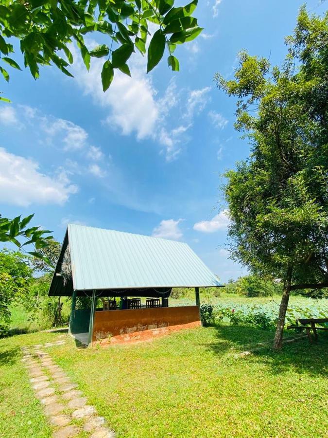 Meegahapokuna Resort Anuradhapura Bagian luar foto