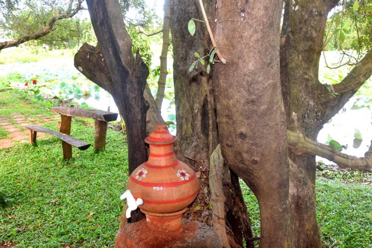 Meegahapokuna Resort Anuradhapura Bagian luar foto