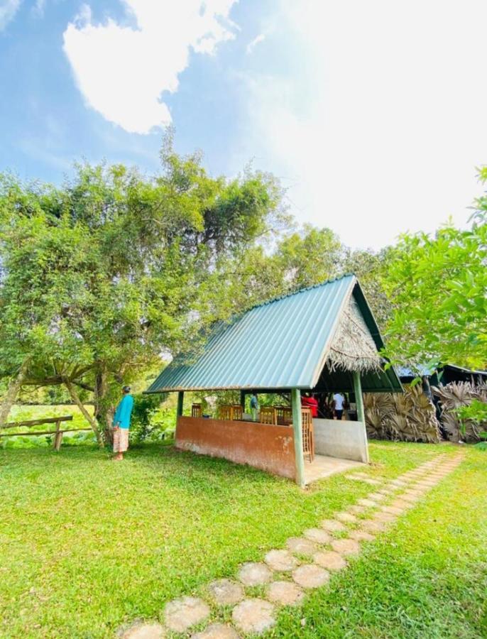 Meegahapokuna Resort Anuradhapura Bagian luar foto