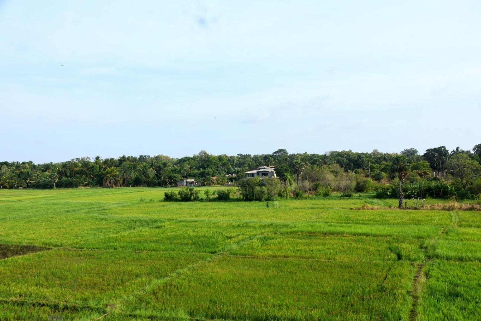 Meegahapokuna Resort Anuradhapura Bagian luar foto