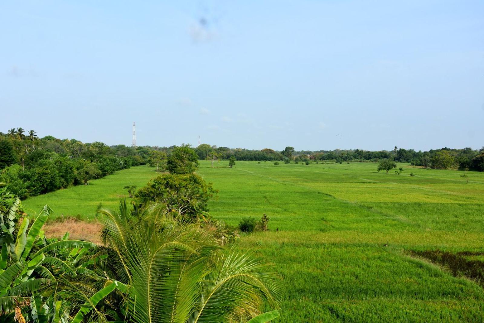 Meegahapokuna Resort Anuradhapura Bagian luar foto
