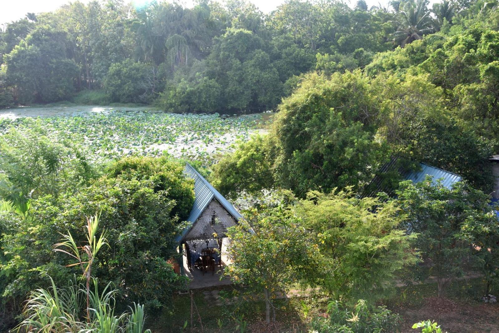 Meegahapokuna Resort Anuradhapura Bagian luar foto