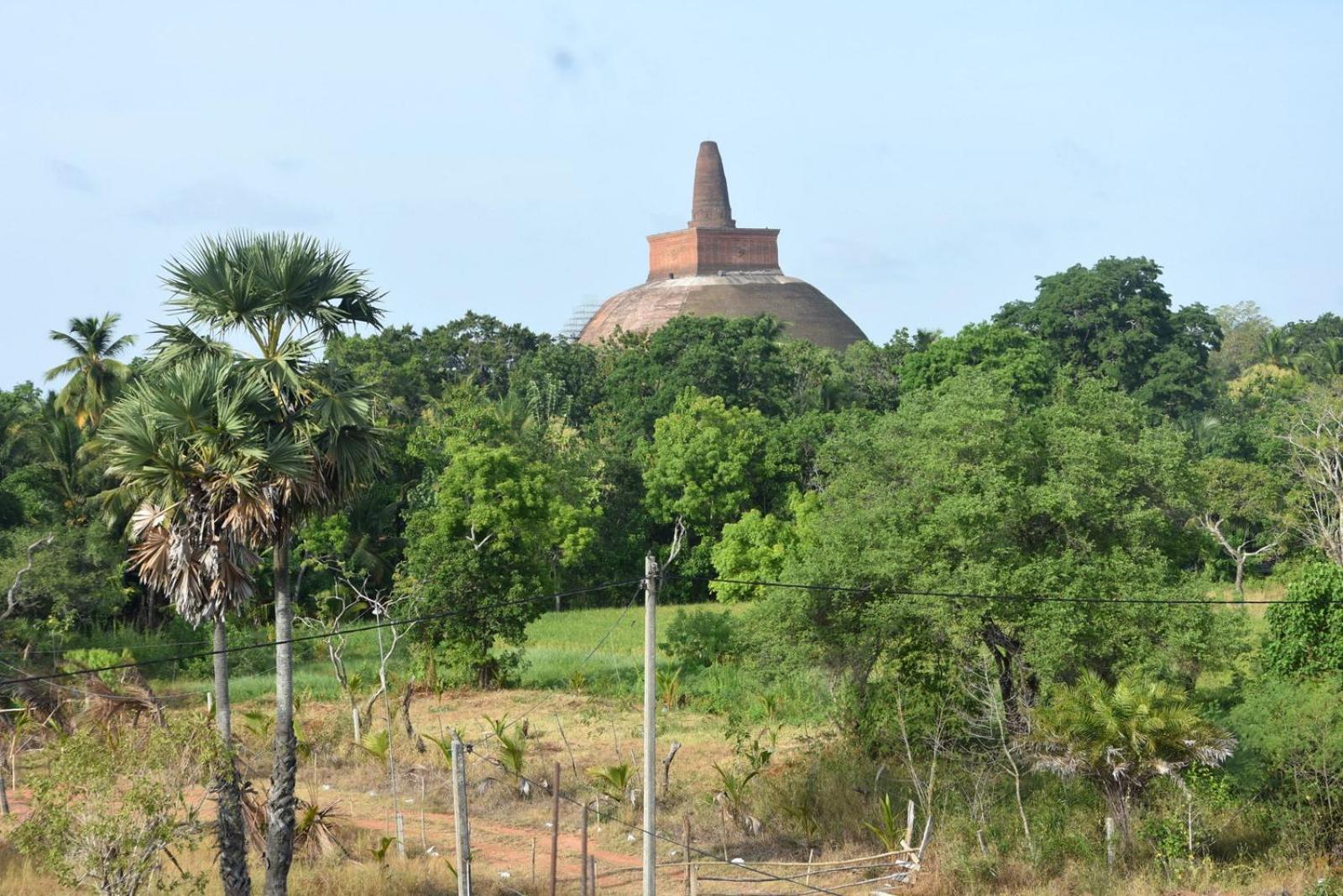 Meegahapokuna Resort Anuradhapura Bagian luar foto