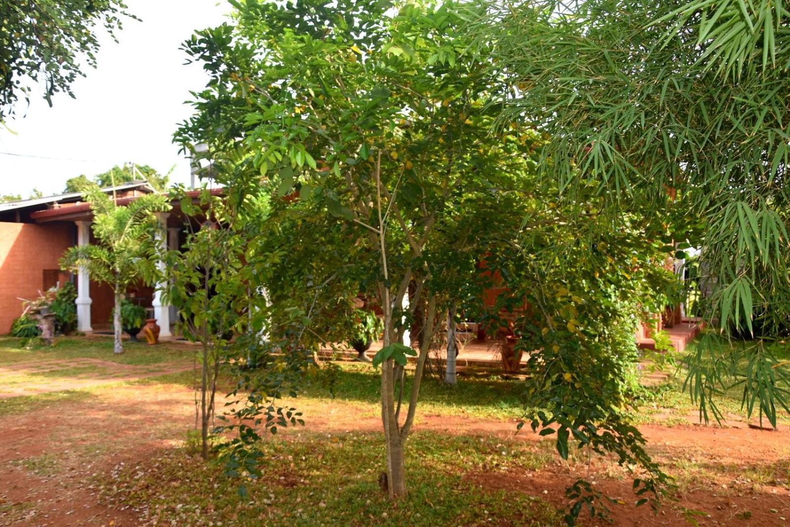 Meegahapokuna Resort Anuradhapura Bagian luar foto