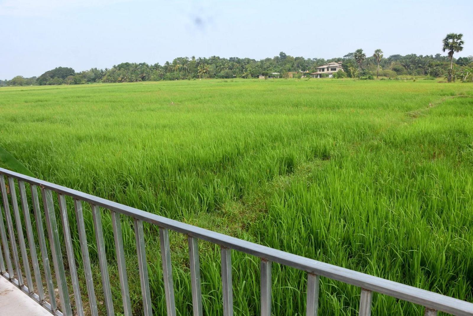 Meegahapokuna Resort Anuradhapura Bagian luar foto