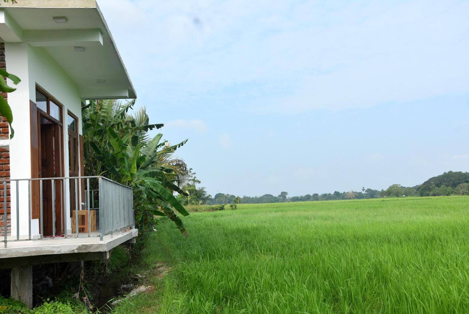 Meegahapokuna Resort Anuradhapura Bagian luar foto